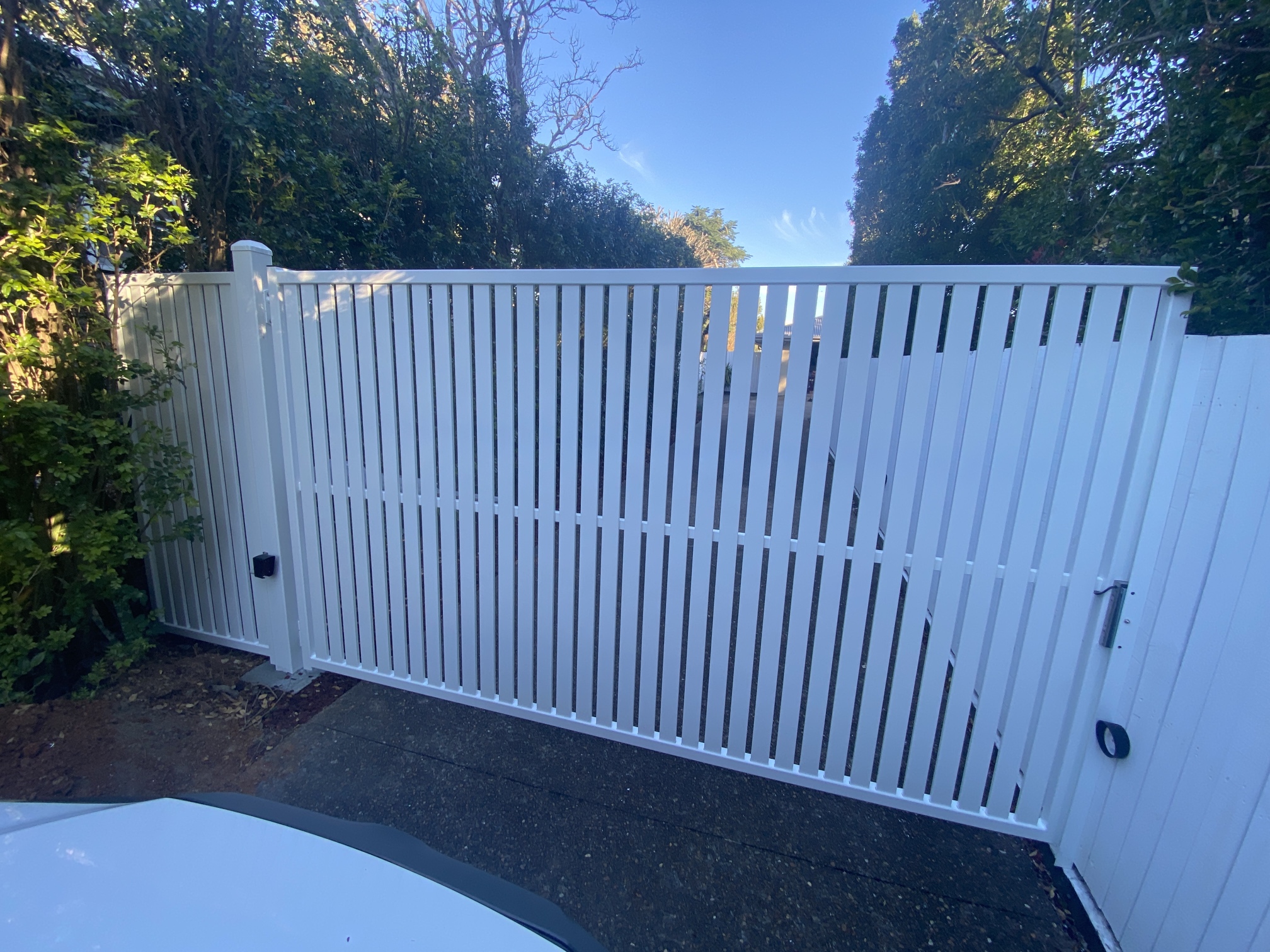 DG 10 Single Swing Gate and infill